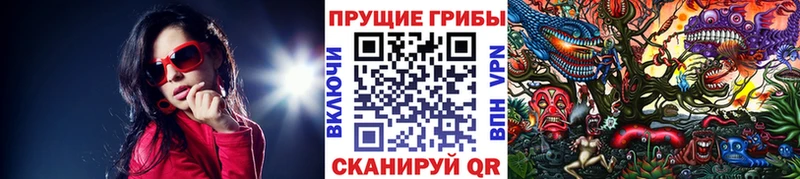Псилоцибиновые грибы Magic Shrooms  Кяхта 